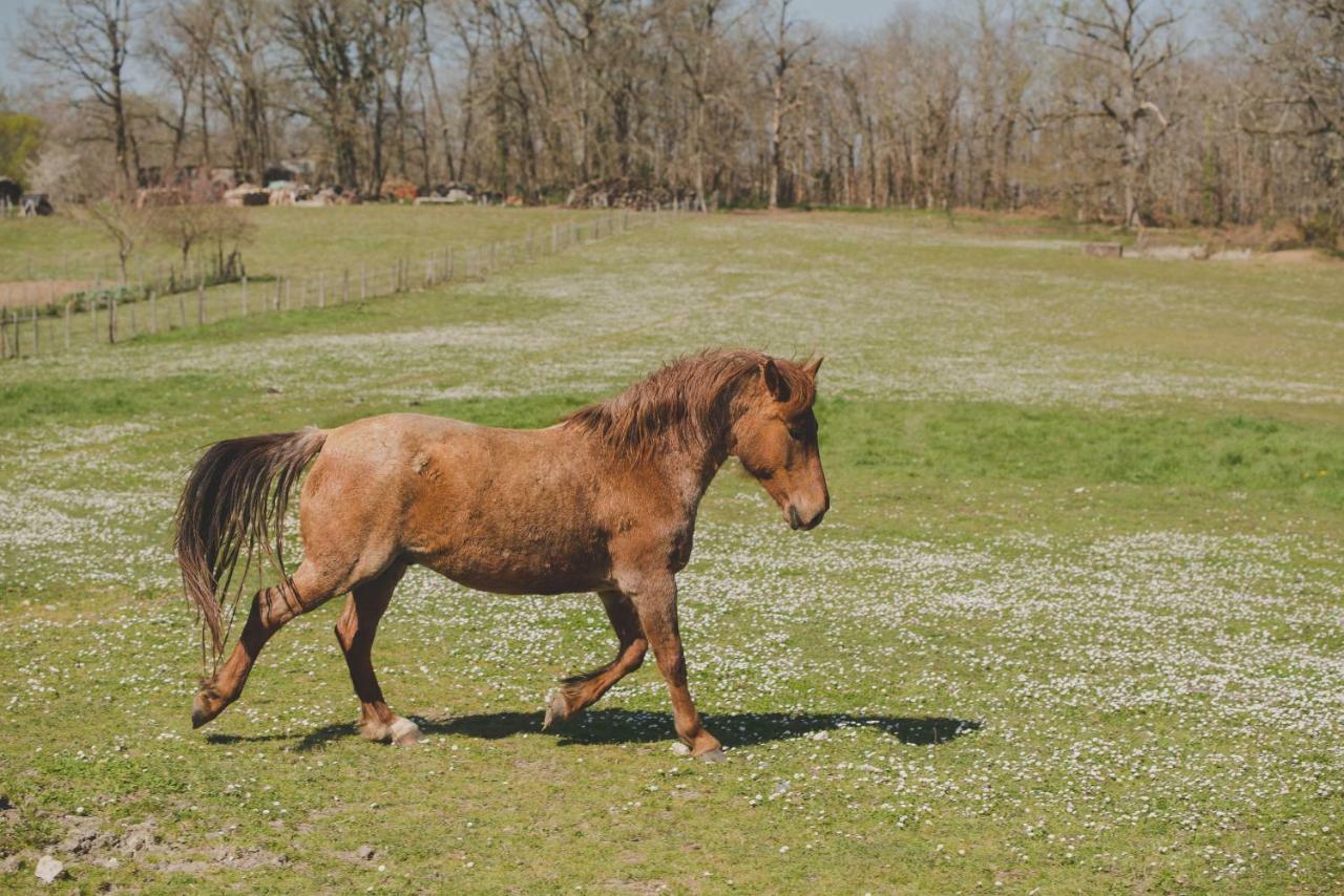 Pontours La Ferme De Bousserand מראה חיצוני תמונה